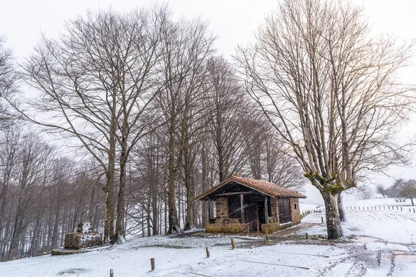 Schronienie Wśród Drzew Przy Wejściu Górę Aizkorri Gipuzkoa Śnieżny Krajobraz — Zdjęcie stockowe