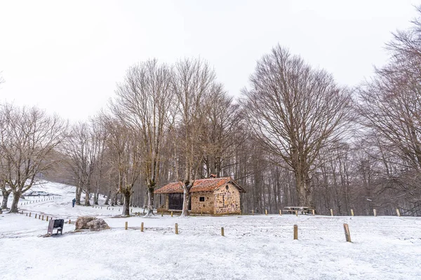 Eine Zuflucht Zwischen Bäumen Beim Aufstieg Zum Berg Aizkorri Gipuzkoa — Stockfoto