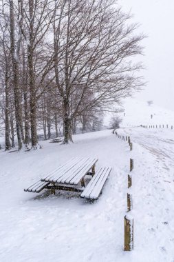 Gipuzkoa 'daki Aizkorri Dağı' nın yanındaki piknik alanında çok kar var. Kış karları altında karlı bir manzara. Bask Ülkesi, İspanya