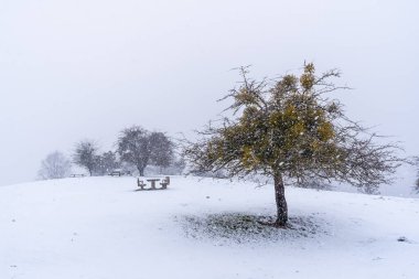 Gipuzkoa 'daki Aizkorri Dağı' nın yanındaki piknik alanında çok kar var. Kış karları altında karlı bir manzara. Bask Ülkesi, İspanya