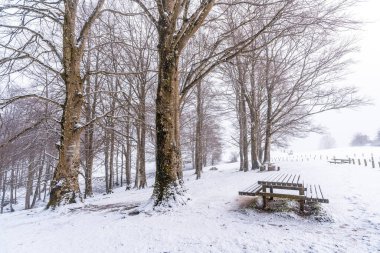 Gipuzkoa 'daki Aizkorri Dağı' nın yanındaki piknik alanında karlı bir gün doğumu. Kış karları altında karlı bir manzara. Bask Ülkesi, İspanya