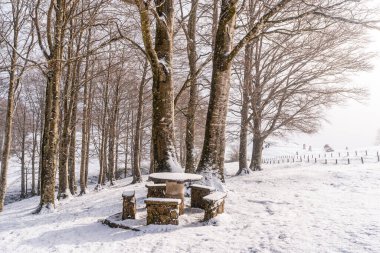 Gipuzkoa 'daki Aizkorri Dağı' nın yanındaki piknik alanında karlı bir gün doğumu. Kış karları altında karlı bir manzara. Bask Ülkesi, İspanya