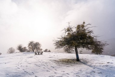Gipuzkoa 'daki Aizkorri Dağı' nın yanındaki piknik alanında ağaçların yanında karlı bir gün doğumu. Kış karları altında karlı bir manzara. Bask Ülkesi, İspanya