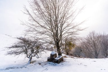 Gipuzkoa 'daki Aizkorri Dağı' nın karlı manzarası. Kış karları altında karlı bir manzara. Bask Ülkesi, İspanya