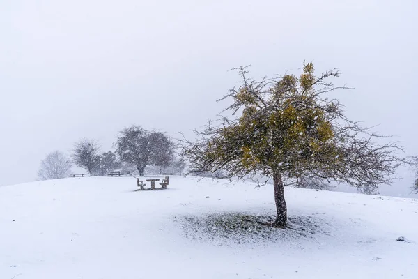 Viel Schnee Auf Dem Picknickplatz Neben Der Schutzhütte Des Aizkorri — Stockfoto