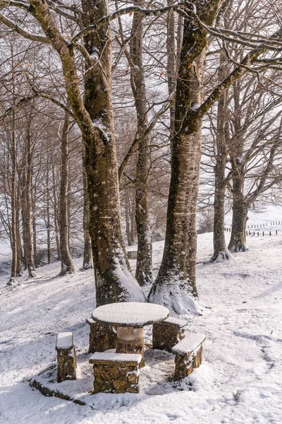 Śnieżny Wschód Słońca Terenie Pikniku Obok Schroniska Mount Aizkorri Gipuzkoa — Zdjęcie stockowe