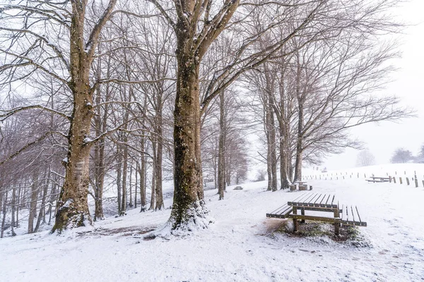 Gipuzkoa 'daki Aizkorri Dağı' nın yanındaki piknik alanında karlı bir gün doğumu. Kış karları altında karlı bir manzara. Bask Ülkesi, İspanya