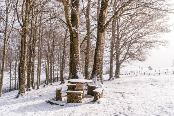 Gipuzkoa 'daki Aizkorri Dağı' nın yanındaki piknik alanında karlı bir gün doğumu. Kış karları altında karlı bir manzara. Bask Ülkesi, İspanya