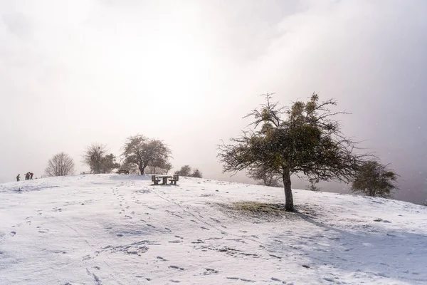 Schneebedeckter Sonnenaufgang Neben Bäumen Auf Dem Picknickplatz Neben Der Schutzhütte — Stockfoto