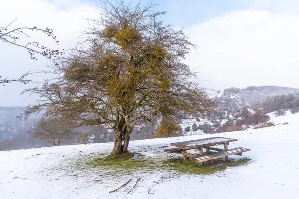 Die Verschneite Landschaft Des Aizkorri Berges Gipuzkoa Schneelandschaft Durch Winterlichen — Stockfoto