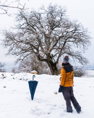Sarı ceketli genç bir kadın karda güzel bir ağaca bakıyor. Araba, Bask ülkesinin Vitoria yakınlarındaki Opakua kasabasında kar. İspanya