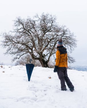 A young woman in a yellow jacket looking at a beautiful tree in the snow. Snow in the town of Opakua near Vitoria in Araba, Basque Country. Spain clipart