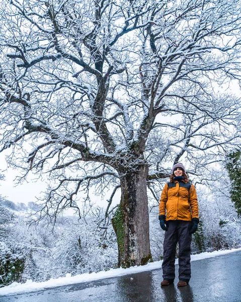 Eine Junge Frau Gelber Jacke Einem Schneebedeckten Baum Auf Eisglatter — Stockfoto