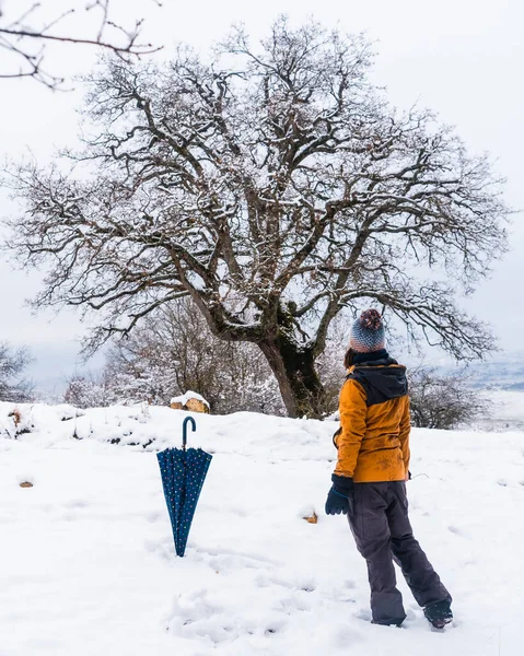 Sarı ceketli genç bir kadın karda güzel bir ağaca bakıyor. Araba, Bask ülkesinin Vitoria yakınlarındaki Opakua kasabasında kar. İspanya