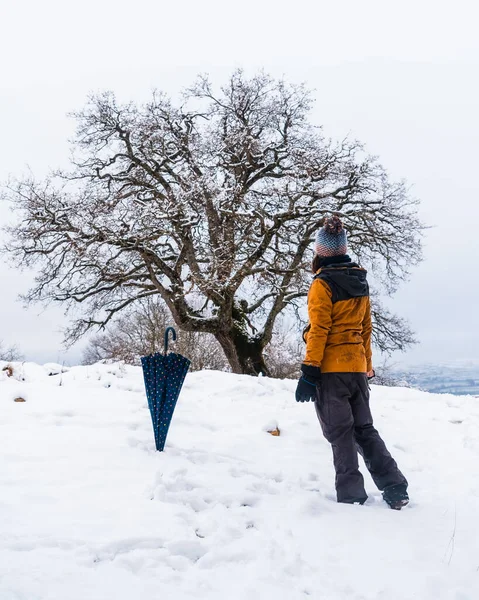 Sarı Ceketli Genç Bir Kadın Karda Güzel Bir Ağaca Bakıyor — Stok fotoğraf