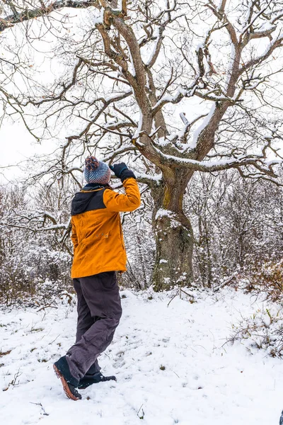 Eine Junge Frau Einer Gelben Jacke Unter Einem Wunderschönen Von — Stockfoto