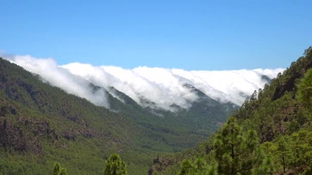 Cumbrecita Dağında Caldera Taburiente Kanarya Adaları Nın Yanındaki Palma Adasında — Stok video