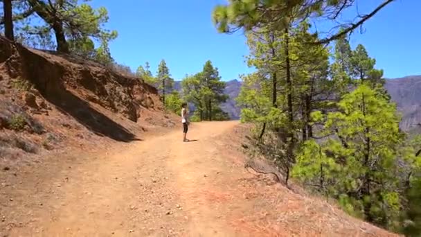 카나리아 제도의 칼데라데 라팔마 산책하고 관광객이다 스페인 — 비디오