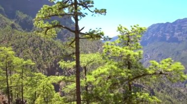 Kanarya Adaları 'ndaki Caldera de Taburiente' nin yanındaki La Palma adasındaki Lomo de las Chozas de La Cumbrecita manzaralı. İspanya