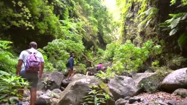 La Palma, Kanarya Adaları 'nın kuzeydoğu kıyısındaki Los Tilos doğal parkında üç yürüyüşçü. İspanya