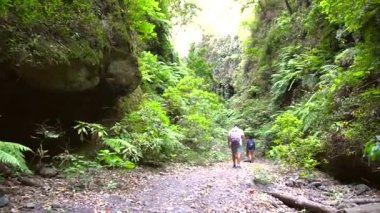 La Palma, Kanarya Adaları 'nın kuzeydoğu kıyısındaki Los Tilos doğal parkında yürüyen genç adam. İspanya