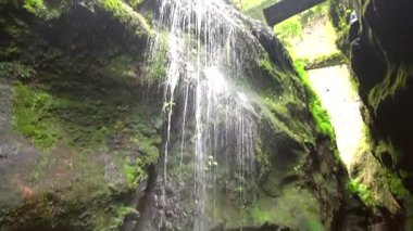 La Palma, Kanarya Adaları 'nın kuzeydoğu kıyısındaki Los Tilos doğal parkında şelalenin dibinde. İspanya