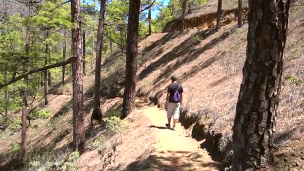 Jeune Homme Sur Sentier Trekking Cumbrecita Sur Île Palma Côté — Video