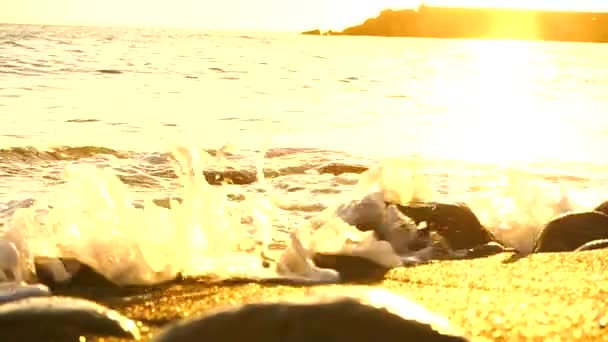 加那利群岛拉帕尔马岛上塔萨科特港的海滩上 夕阳西下的波浪 西班牙 — 图库视频影像
