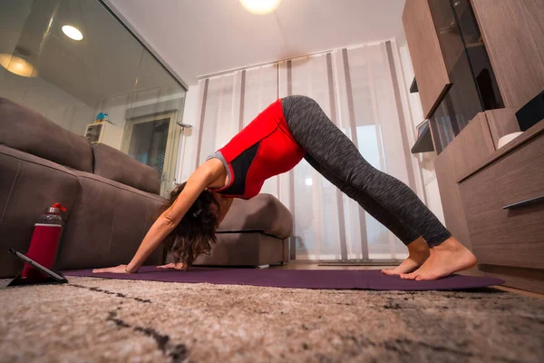 Ung Gravid Kaukasisk Brunett Utför Bågen Yoga Och Pilates Övningar — Stockfoto