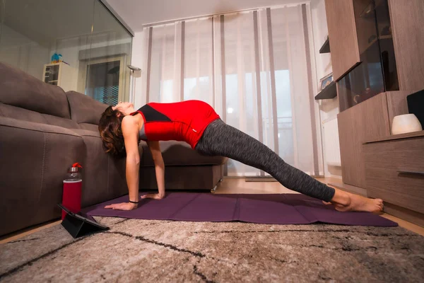 Ung Gravid Kaukasisk Brunett Sträcker Ryggen Yoga Och Pilates Övningar — Stockfoto