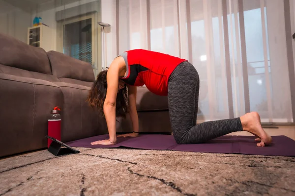 Ung Gravid Kaukasisk Brunett Utför Yoga Och Pilates Katt Motion — Stockfoto