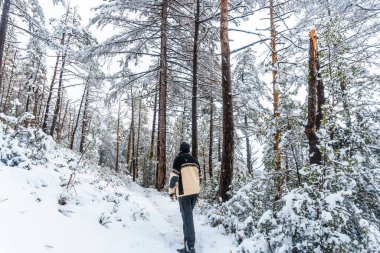 Bir grup yürüyüşçü, San Sebastian, Gipuzkoa, Bask Bölgesi yakınlarındaki Oiartzun 'daki Nevado de Artikutza doğal parkında yürüyüş yapıyor. İspanya