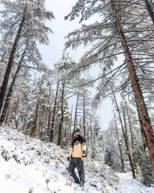 Bir grup yürüyüşçü, San Sebastian, Gipuzkoa, Bask Bölgesi yakınlarındaki Oiartzun 'daki Nevado de Artikutza doğal parkında yürüyüş yapıyor. İspanya