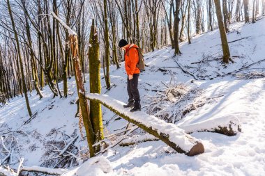 San Sebastian, Gipuzkoa, Bask Bölgesi yakınlarındaki Oiartzun 'daki Artikutza' nın kar kaplı doğal parkında düşen bir kütükle eğlenen genç bir adam. İspanya