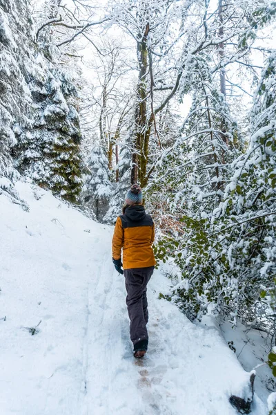 Eine Gruppe Von Wanderern Unterwegs Naturpark Nevado Artikutza Oiartzun Bei — Stockfoto