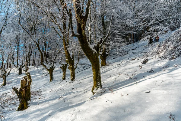 Grupa Turystów Szlaku Parku Przyrody Nevado Artikutza Oiartzun Koło San — Zdjęcie stockowe