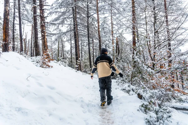 Eine Gruppe Von Wanderern Unterwegs Naturpark Nevado Artikutza Oiartzun Bei — Stockfoto