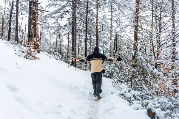 Eine Gruppe Von Wanderern Unterwegs Naturpark Nevado Artikutza Oiartzun Bei — Stockfoto