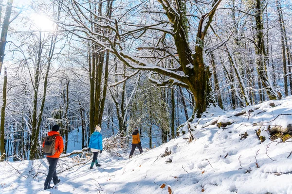 Eine Gruppe Von Wanderern Unterwegs Naturpark Nevado Artikutza Oiartzun Bei — Stockfoto