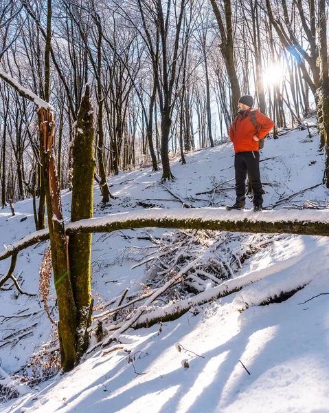 Ein Junger Mann Amüsiert Sich Auf Einem Umgestürzten Baumstamm Schneebedeckten — Stockfoto