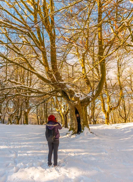 Eine Junge Frau Geht Durch Den Schnee Schneebedeckten Oianleku Naturpark — Stockfoto