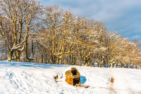 Eine Junge Frau Geht Durch Den Schnee Schneebedeckten Oianleku Naturpark — Stockfoto