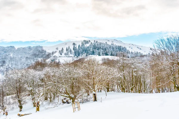 Eine Junge Frau Geht Durch Den Schnee Schneebedeckten Oianleku Naturpark — Stockfoto