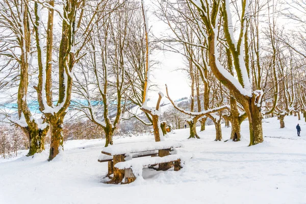 Eine Junge Frau Geht Durch Den Schnee Schneebedeckten Oianleku Naturpark — Stockfoto