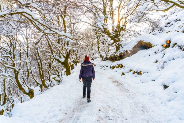 Eine Junge Frau Geht Durch Den Schnee Schneebedeckten Oianleku Naturpark — Stockfoto