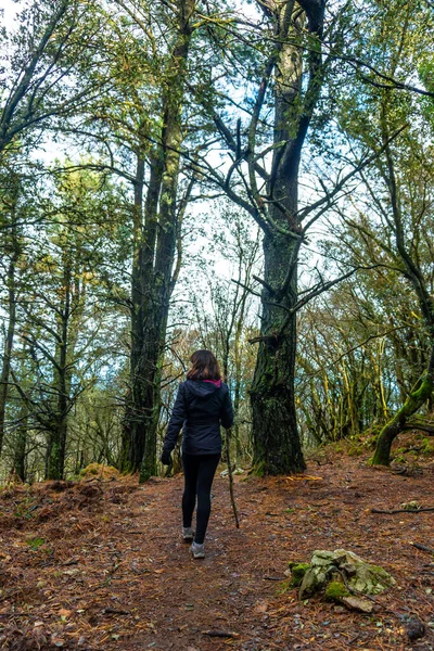 Gipuzkoa 'nın Mutriku belediyesinde Arno Dağı' nda yürüyüş yapan genç bir adam. Bask Ülkesi, İspanya