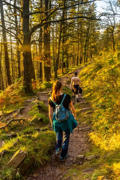 Ett Par Stigen Vid Solnedgången Mount Adarra Staden Urnieta Nära — Stockfoto