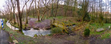 Pasajes Antxo doğal parkındaki nehir yolunun panoramik manzarası, Gipuzkoa. Bask Ülkesi