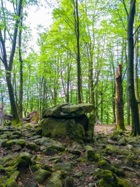 Errenteria, Gipuzkoa 'daki güzel bir ormanda Aitzetako Txabala Dolmenleri. Bask Ülkesi