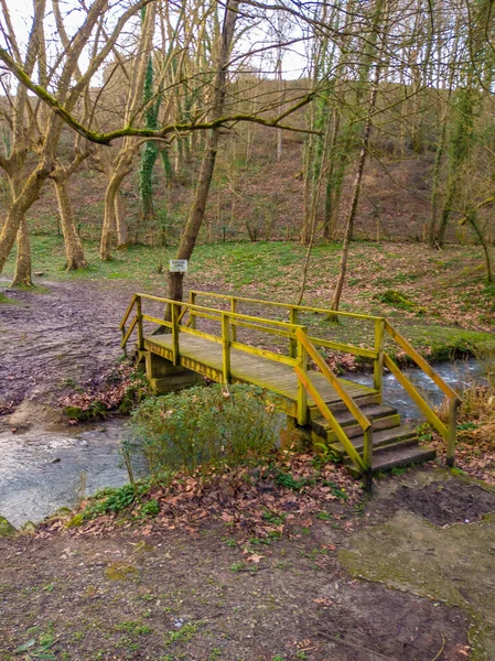 Holzbrücke Auf Dem Flussweg Des Naturparks Pasajes Antxo Gipuzkoa Baskenland — Stockfoto